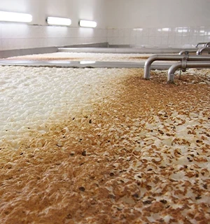 Yeast fermentation