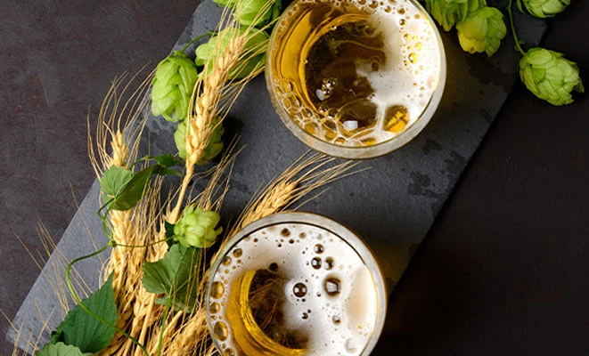 Two glasses of frothy beer on a dark surface, surrounded by wheat stalks and green hops.