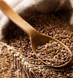 pile of loose grains